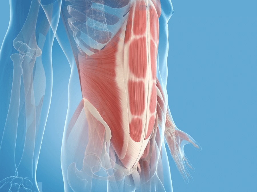 On-line workshop Zdravie pohybom - Pevné brucho od A do Z